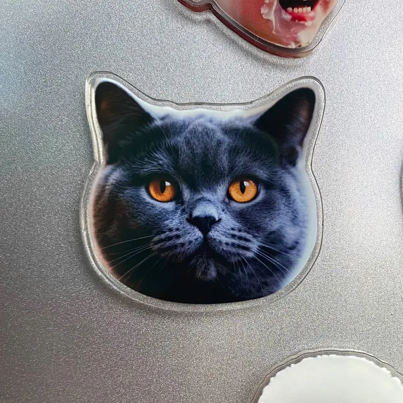 Personalized Photo Fridge Magnet Custom Cutout Shape Acrylic Magnet from Photo for Family Pet and Sentimental Gift Ideas