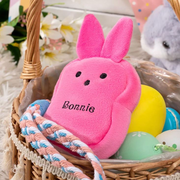 Personalized Macaron Color Cute Bunny Plush Coin Purse Wallet with Name Easter Basket Stuffers Birthday Gift for Kids