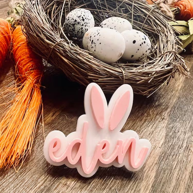 Personalized Bunny Theme Custom Name Adorable Rabbit Ear Pastel Pink Font Acrylic Hair Clip