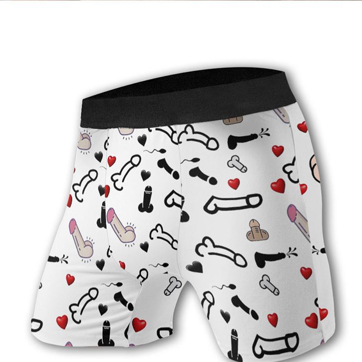 Personalized LGBT Support Men’s Boxer Briefs Custom Funny Boxers for Boyfriend Only You Can Insert Herer Boxer for Lgbtq