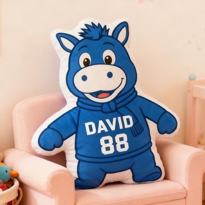 Personalized Sports Mascot Pillow Featuring Custom Name and Number for Kids and Football Fans