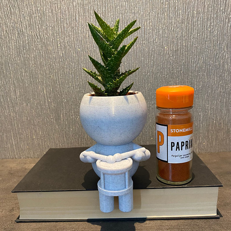 Personalized Little Drummer Snare Drum Succulent Plant Pot 3D Printed Flower Pot Gift for Band Members Music Lovers for Kids