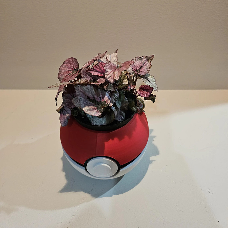 Personalized Pokéball Planter Succulent Pot 3D Printed Housewarming Gift Fun Gift for Anime Lovers Game Lovers