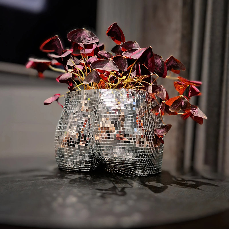 Personalized Disco Ball Body Planter Cheeky Silver Mirror Home Decor for Dance Lovers Music Lovers for Party Holiday