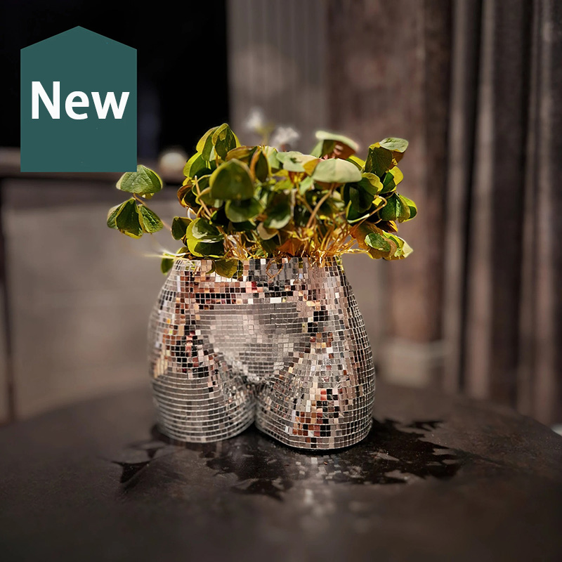 Personalized Disco Ball Body Planter Cheeky Silver Mirror Home Decor for Dance Lovers Music Lovers for Party Holiday