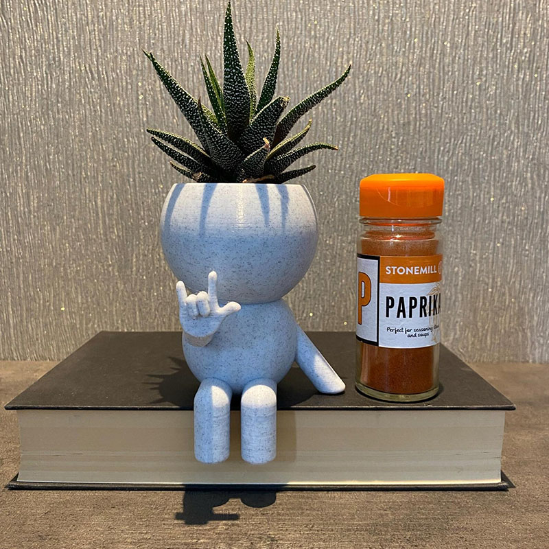 Personalized Signing "I love you" ASL BSL Quirky Plant Pot Whimsical Airplant Holder 3D Printed Flower Pot Gift