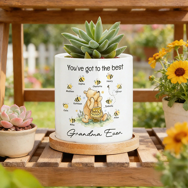 Personalized Classic Winnie the Pooh 1-10 Bees Ceramic Planter Pot with Names and Bamboo Tray Daily Use Mother's Day Gift for Mom Grandma