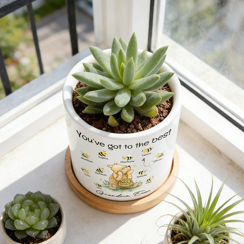 Personalized Classic Winnie the Pooh 1-10 Bees Ceramic Planter Pot with Names and Bamboo Tray Daily Use Mother's Day Gift for Mom Grandma
