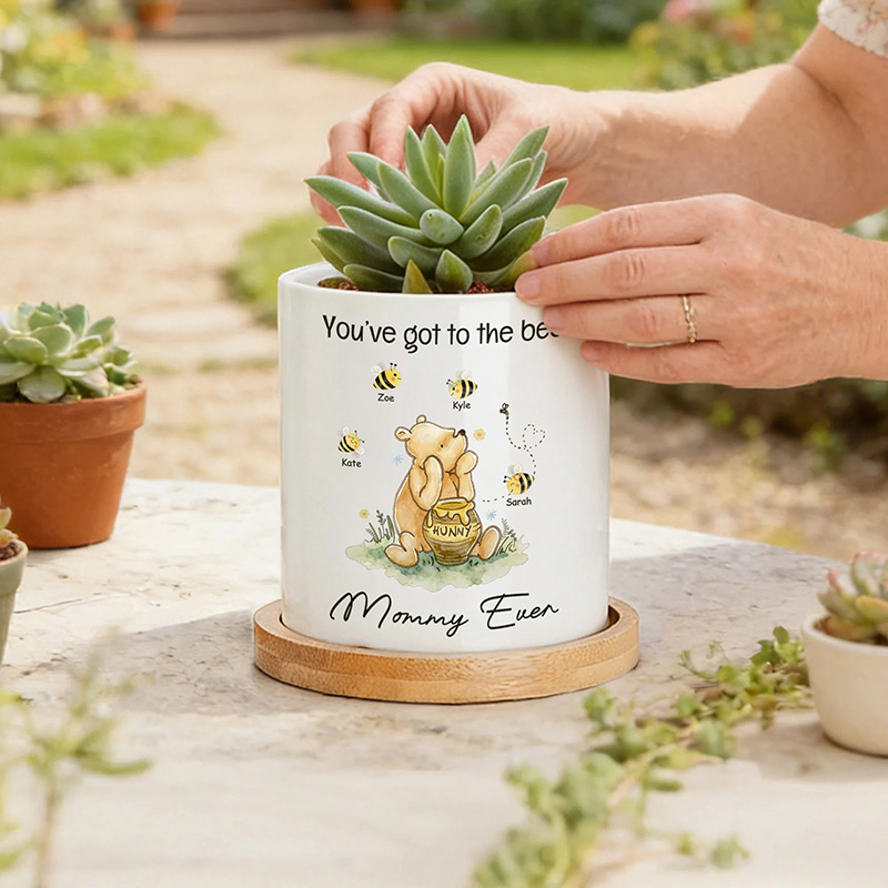 Personalized Classic Winnie the Pooh 1-10 Bees Ceramic Planter Pot with Names and Bamboo Tray Daily Use Mother's Day Gift for Mom Grandma