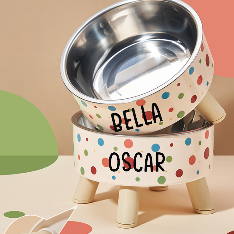 Personalized Cute Pet Feeding Bowl with Name Stainless Steel Heavy Base Raised Feeding Bowl Birthday Gift for Dog Cat Owners