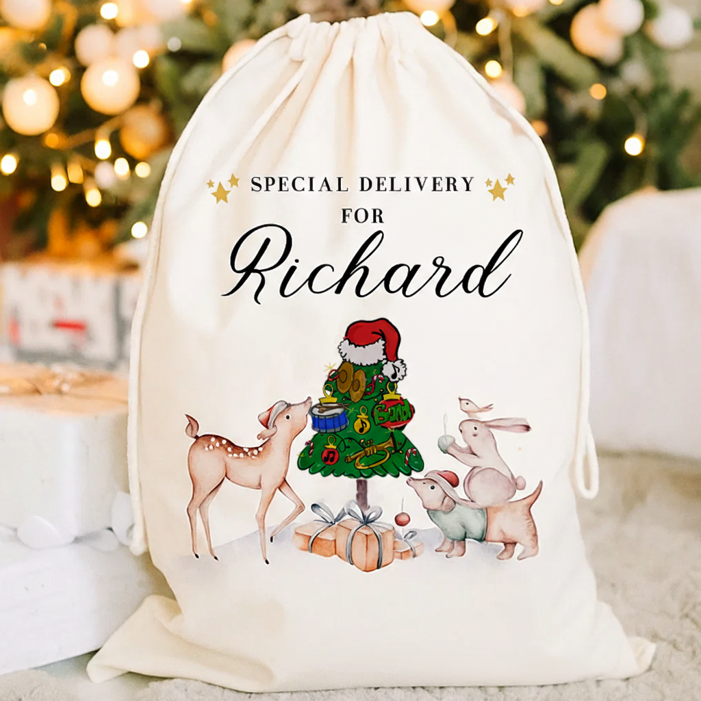 Personalised Christmas Eve Box Ballerina Reindeer Gift Bag for Kids Christmas Special Delivery Christmas Santa Sack with Name