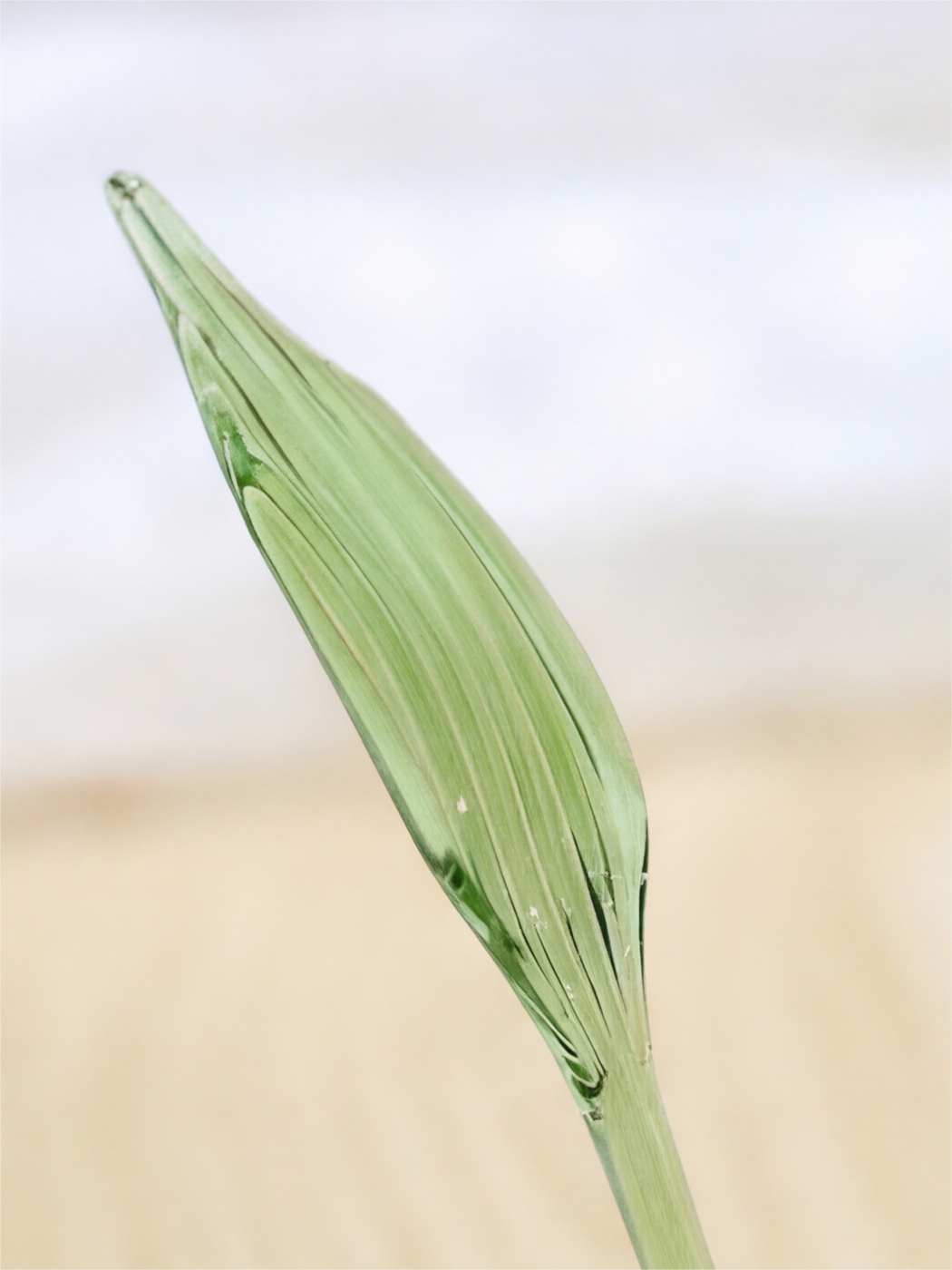 Personalized Handmade Glass Bird Mini Eco-friendly Handmade Home Decoration