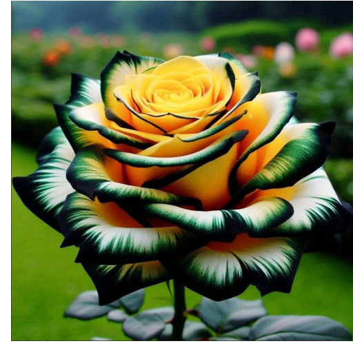 🌹 Rarité, unikálne farebné mutované ružové semená — vaša záhrada si zaslúži mágiu! 🌙