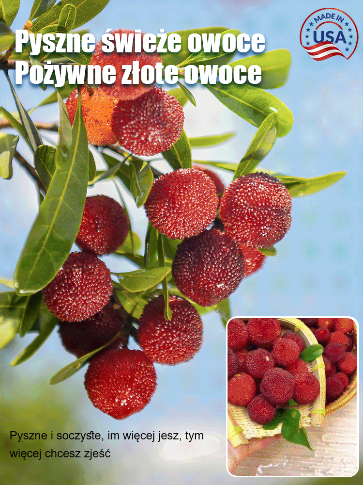 Домашна градина Засаждане на семена от слива Донгкуй