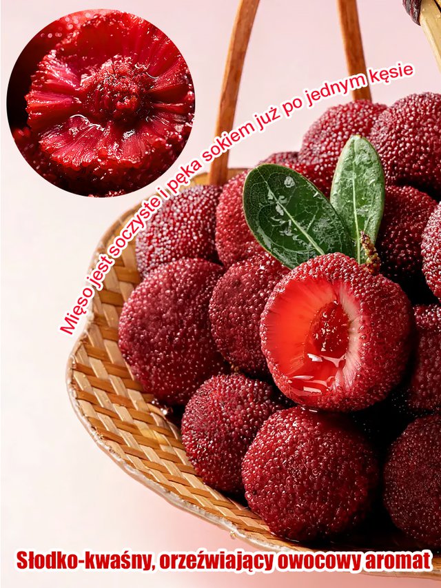 Домашна градина Засаждане на семена от слива Донгкуй