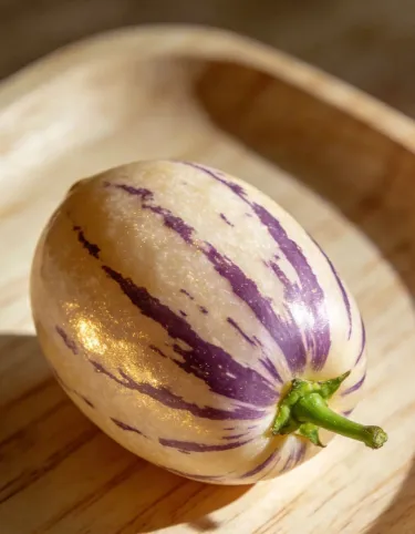 🌿✨Семки от женшен: Открийте силата на природата във вашата градина! 🔥