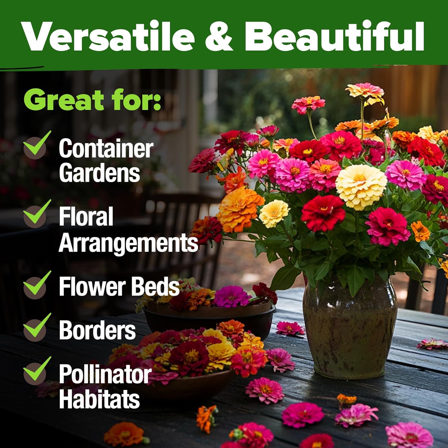 🌞💐Домашно отгледани семена от циния за 2026 г. – Giant Mix – насипни семена за засаждане на диви цветя на открито 🌸