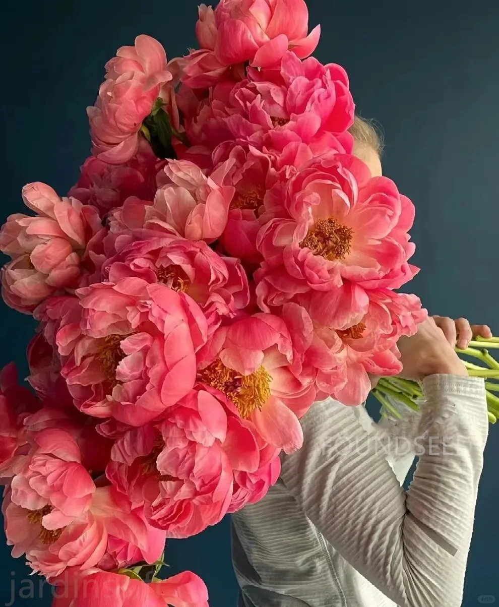 🌸 Семена от божур