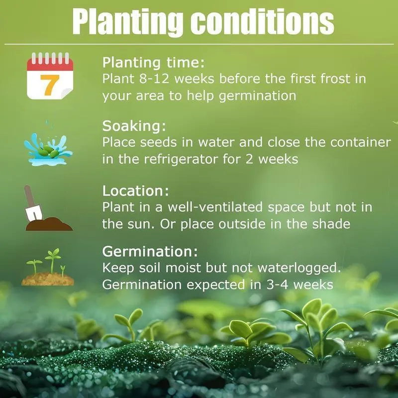 Смесени редки семена от хоста 🌿