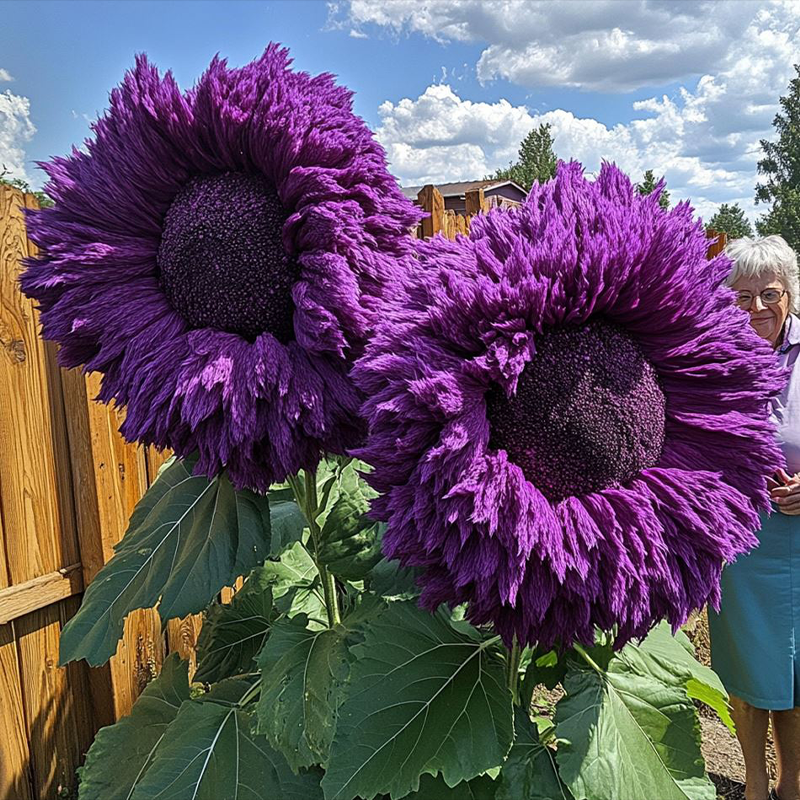 🌻 Adorable Giant Teddy Bear Sunflower 🔆