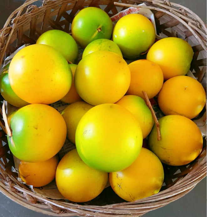 Arany gyümölcsmagok