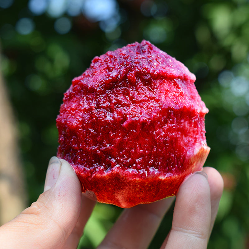 Vér őszibarack magok