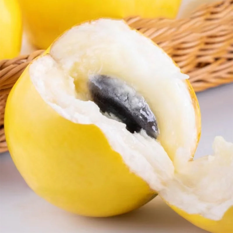 Arany gyümölcsmagok