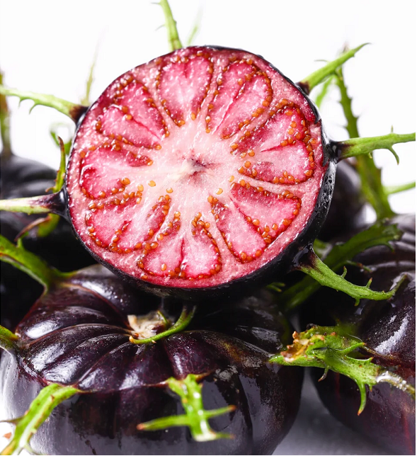 Piros gyümölcsös ginzeng magvak - pók gyümölcs