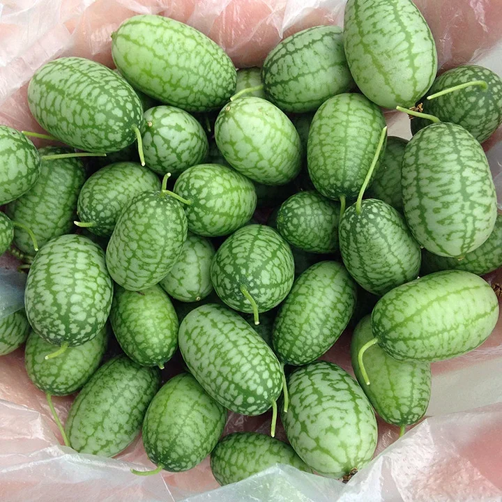 Fekete Gyémánt Görögdinnye Magvak