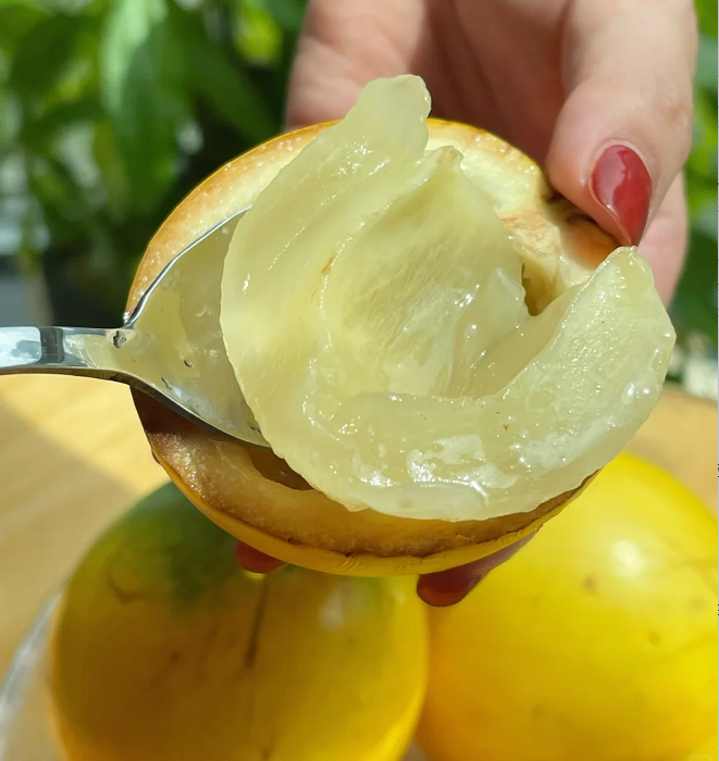 Arany gyümölcsmagok