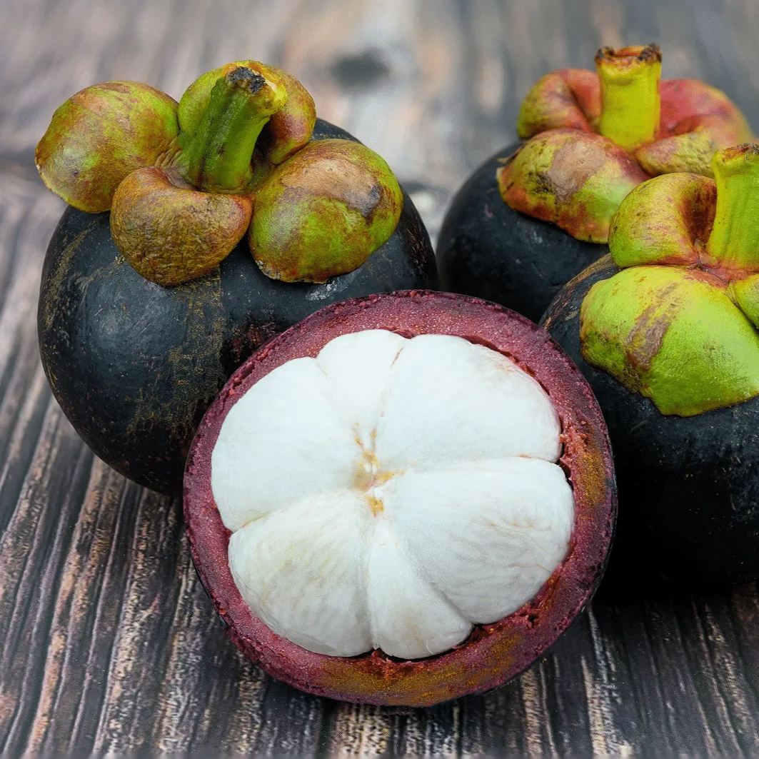 Mangosteen Plant Seeds