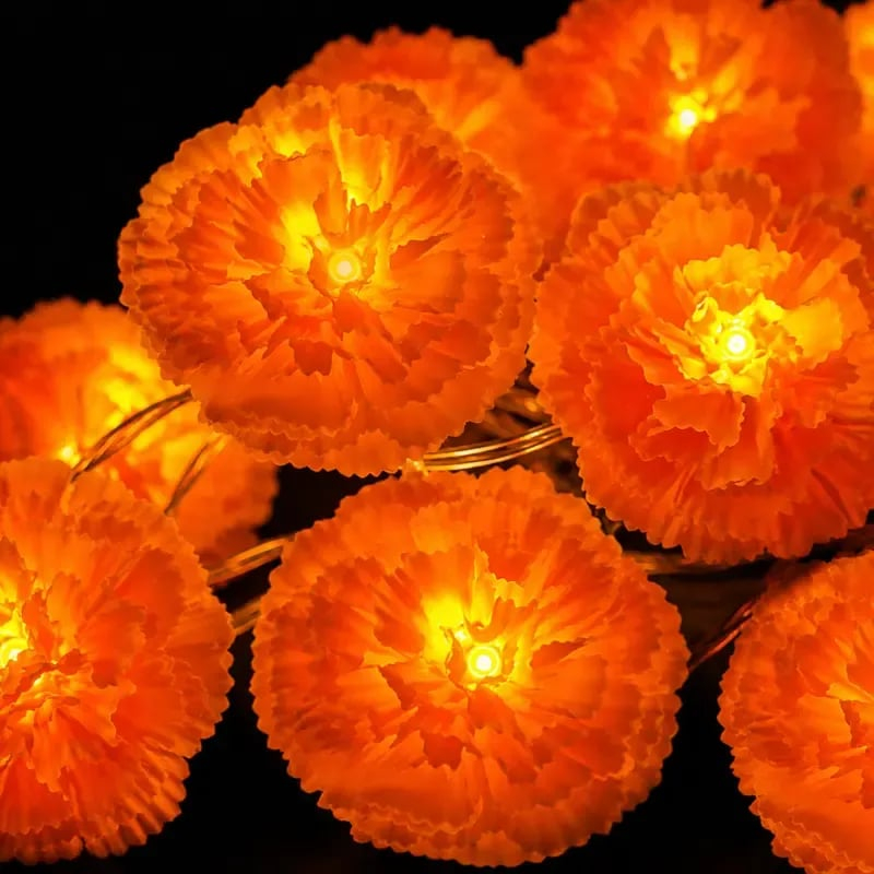 Mexican Marigold Flower String Lights
