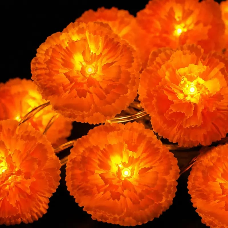 Mexican Marigold Flower String Lights