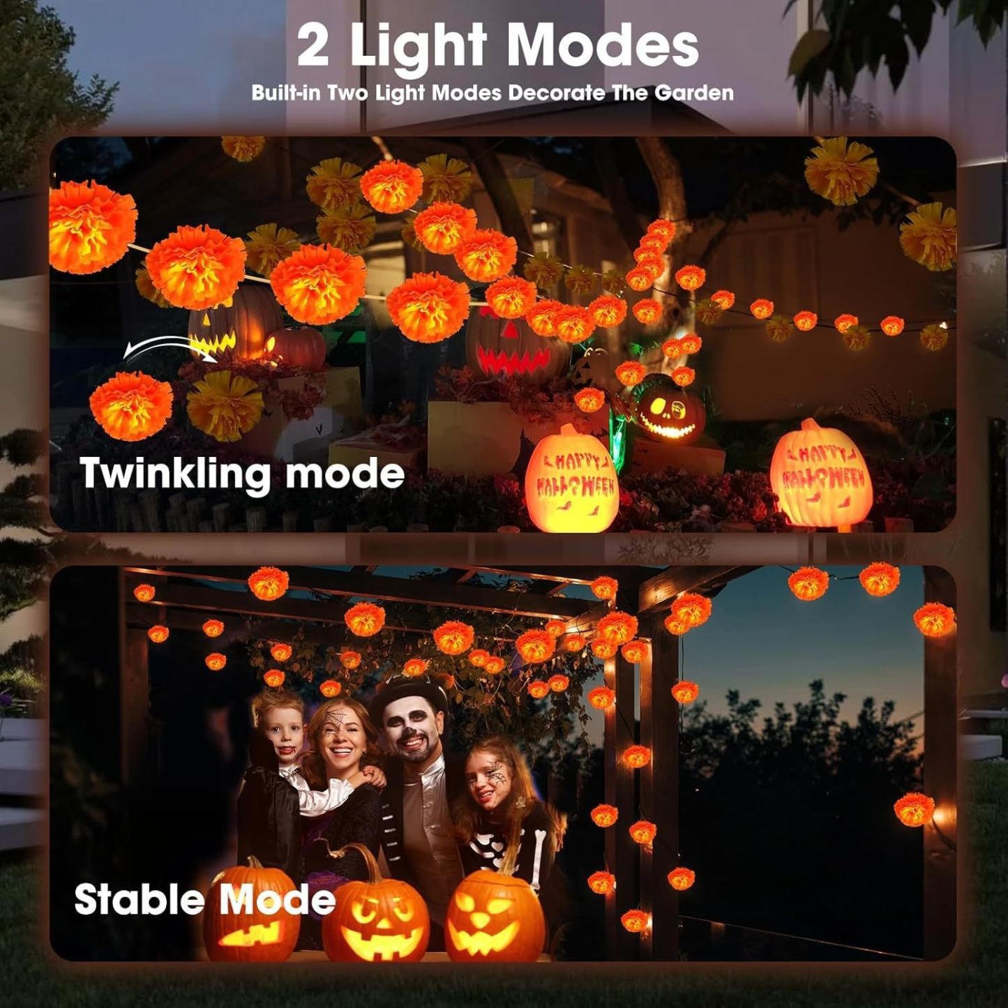 Mexican Marigold Flower String Lights