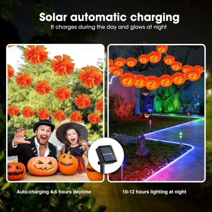 Mexican Marigold Flower String Lights