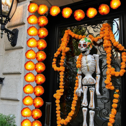 Mexican Marigold Flower String Lights