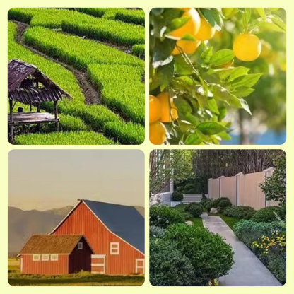 Beast Repellent Solar Warning Lights With Loud Volume