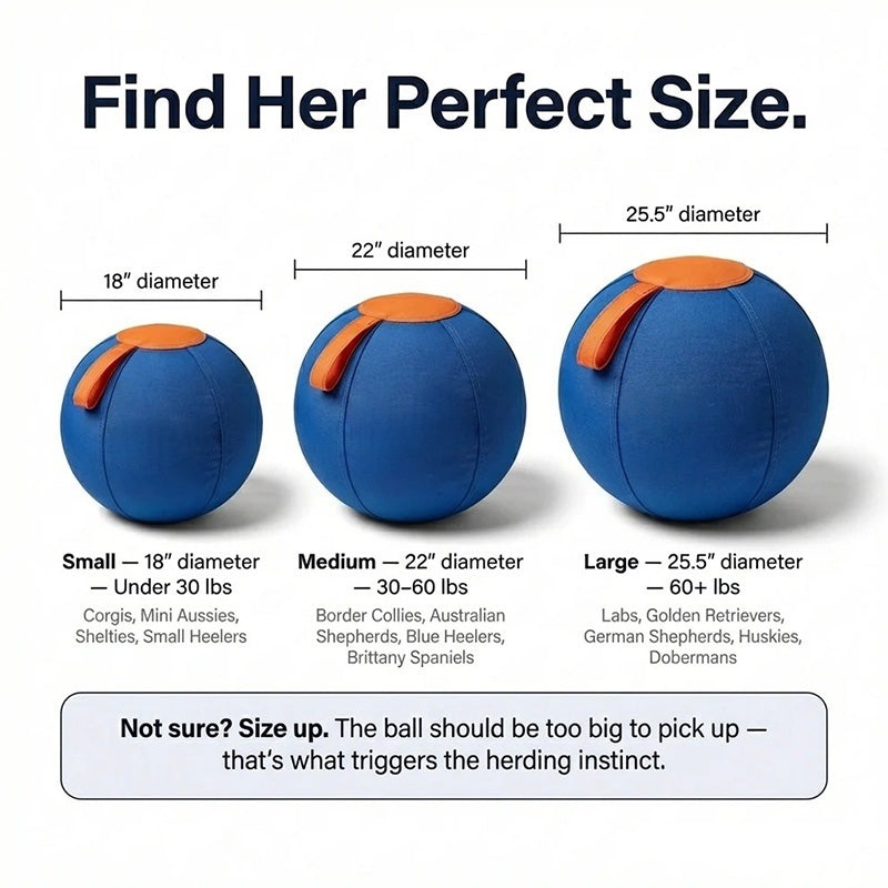 The Original Herding Ball for Dogs