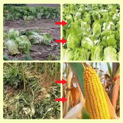 Beast Repellent Solar Warning Lights With Loud Volume