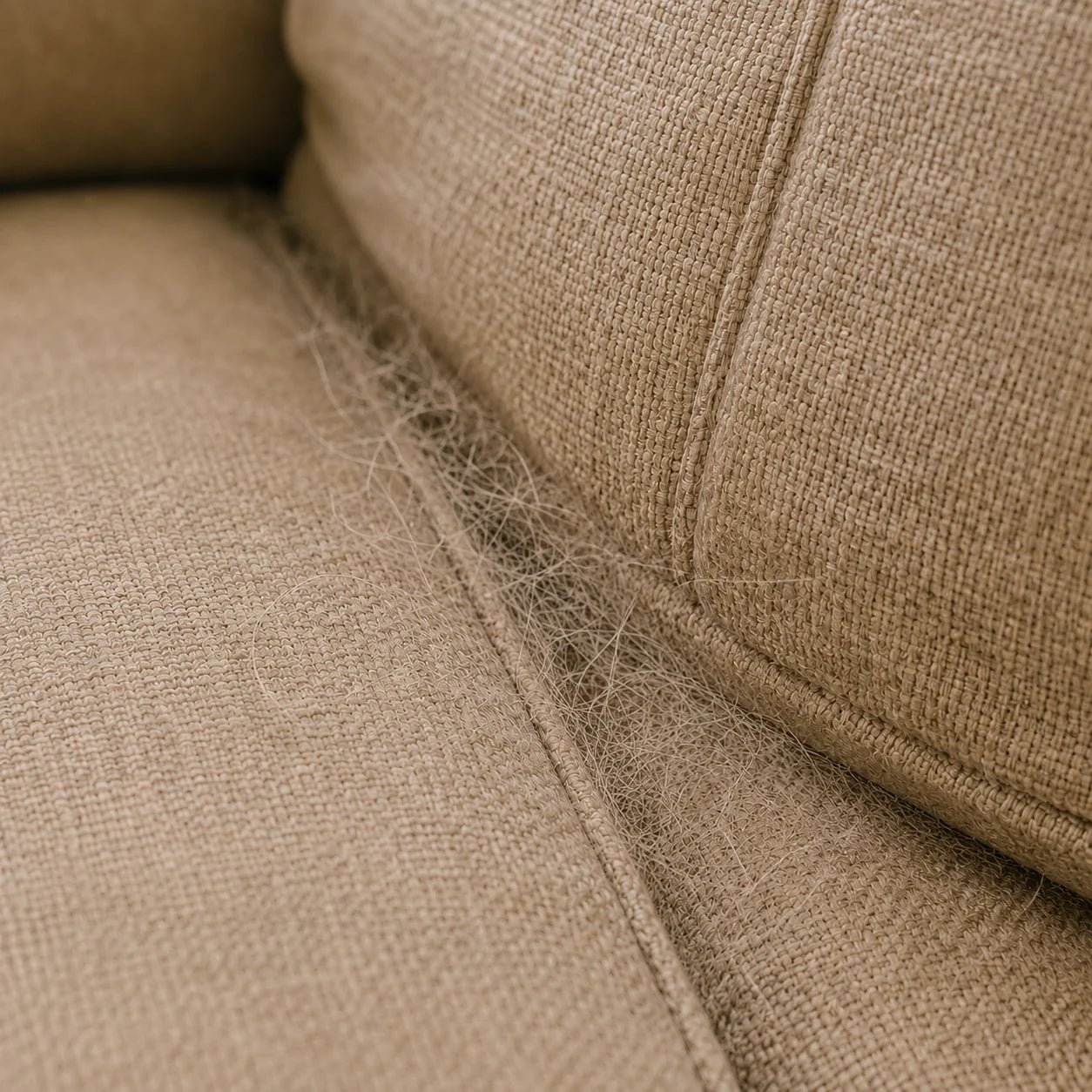 Pet hair in sofa seams