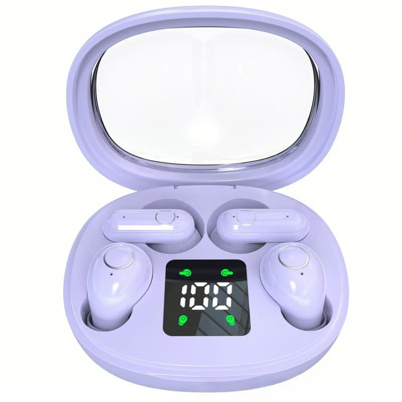 Dual Bluetooth Wireless Earbuds