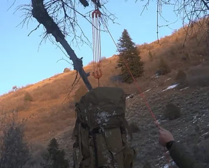 Game & Gear Hoist - Block and Tackle System