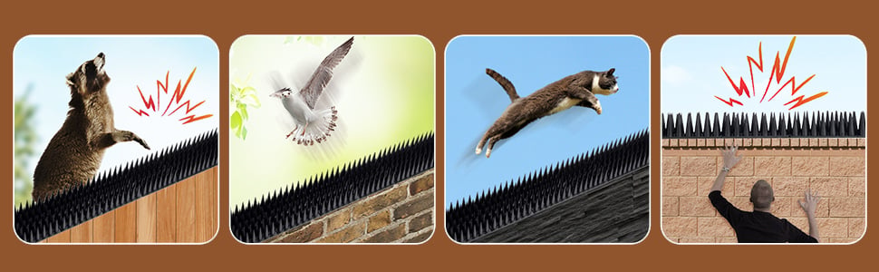 Bird Spikes