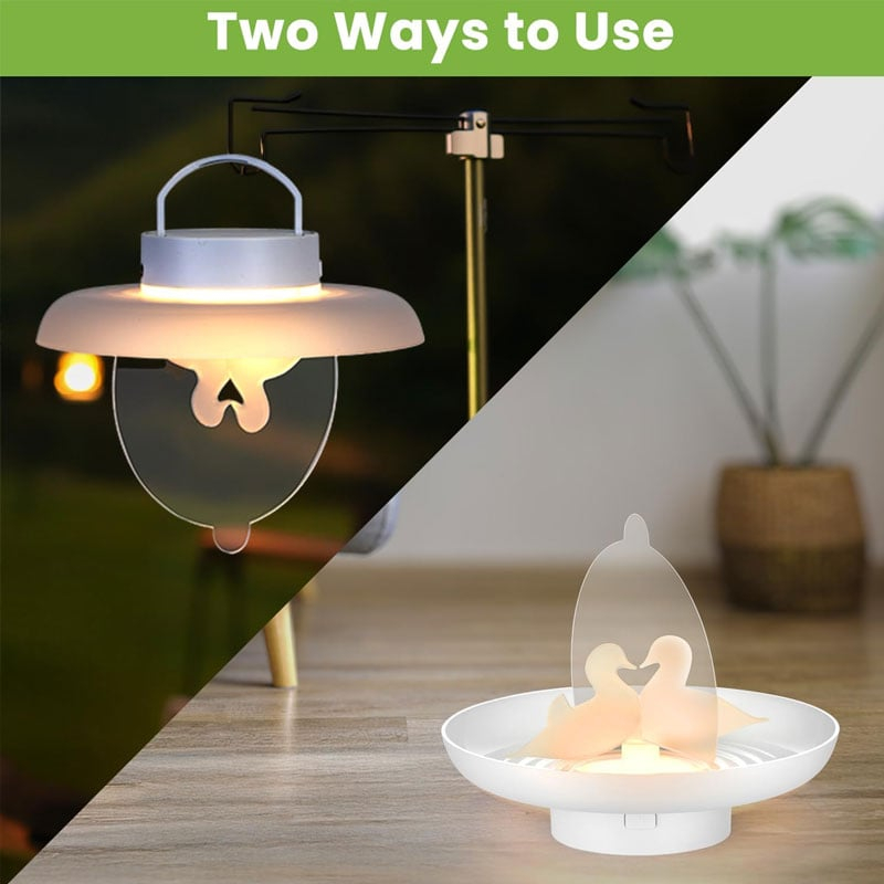 Flea and Mosquito Trap
