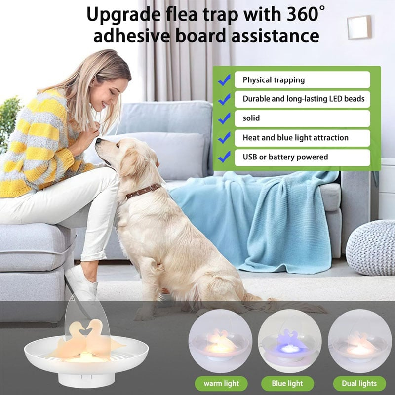 Flea and Mosquito Trap