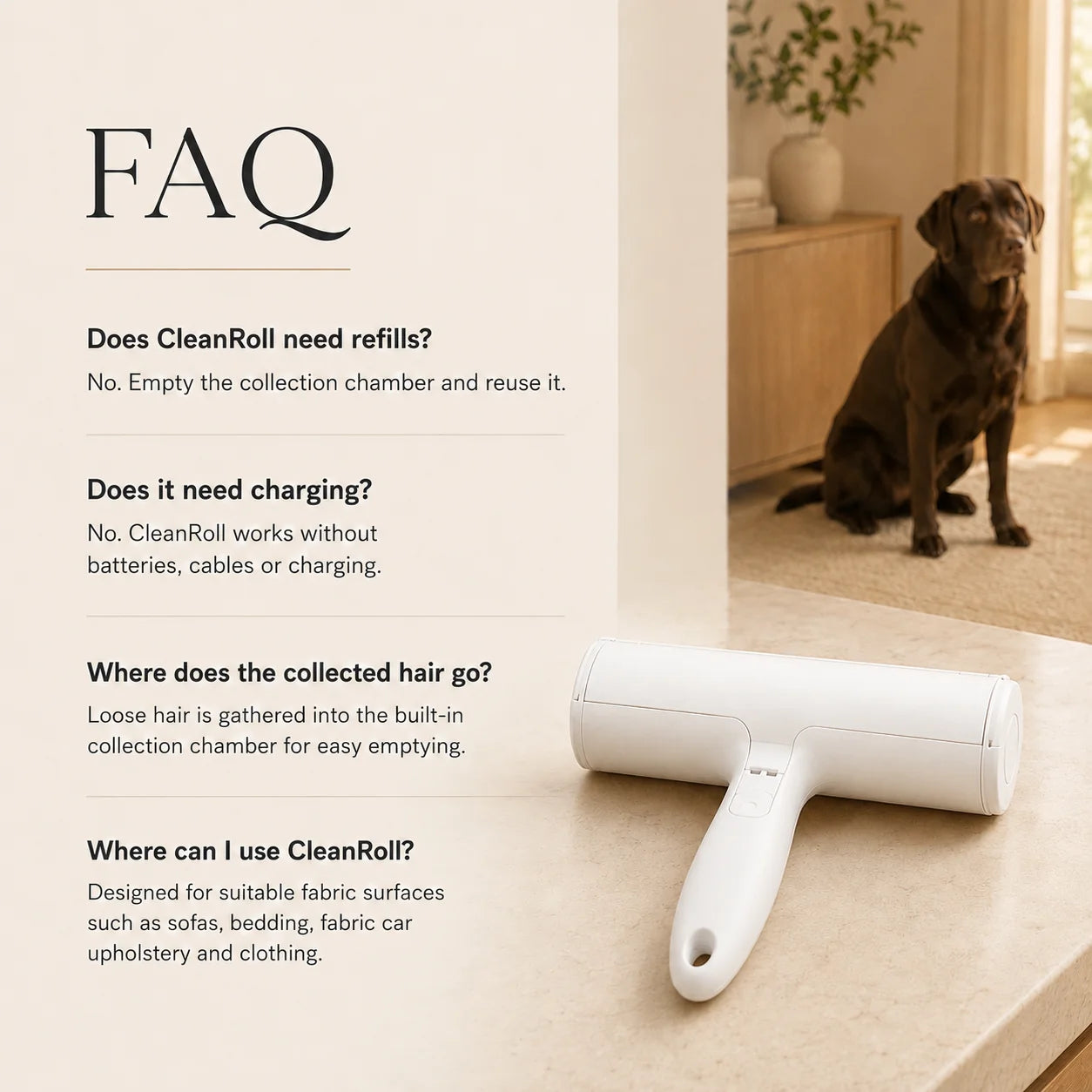 CleanRoll pet hair remover product details