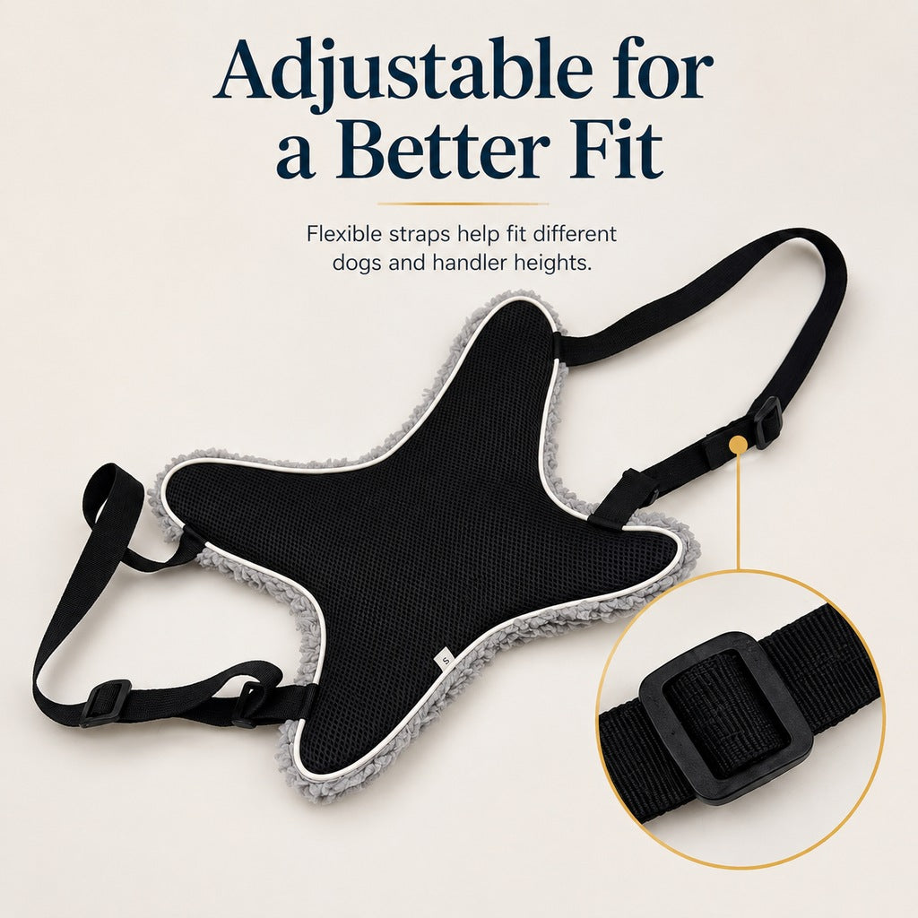 Dog Lift Support Sling for Stairs & Walks - Adjustable Mobility Harness for Senior Dogs with Weak Legs