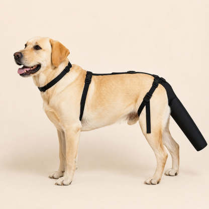 Adjustable Dog Tail Protector for Recovery & Daily Walks - Padded Guard for Sensitive Tails