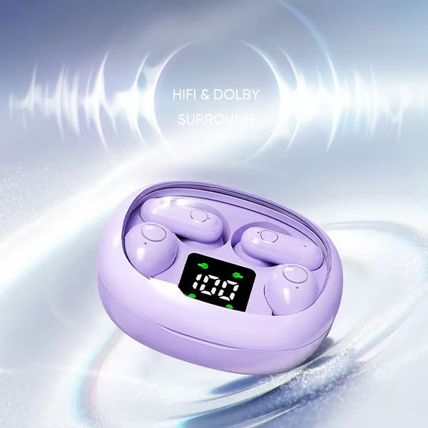 Dual Bluetooth Wireless Earbuds