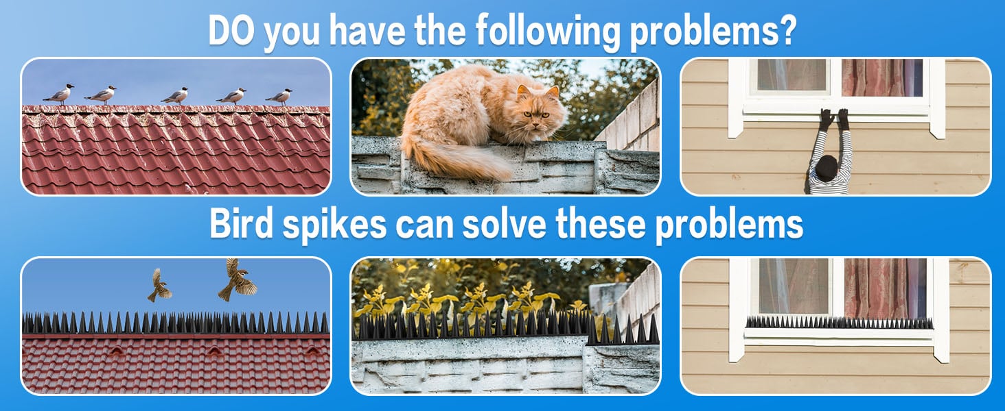 bird spikes